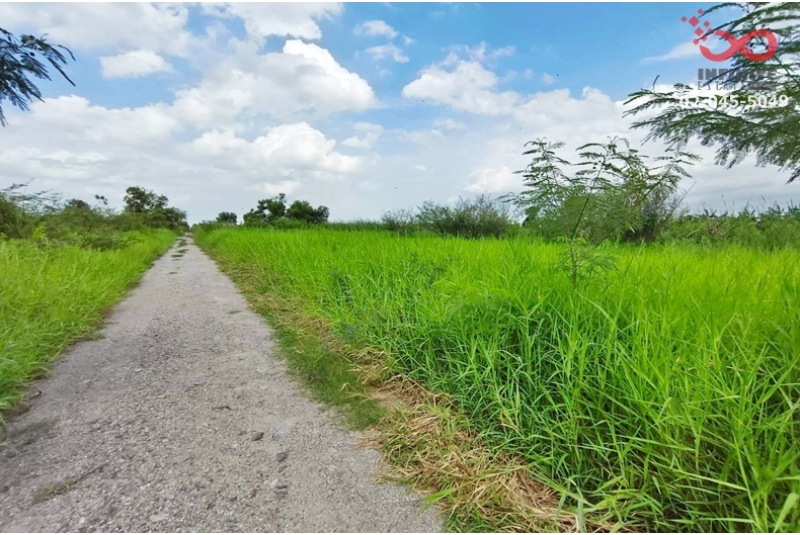ขายที่ดิน 3 ไร่ ลำลูกกา คลอง 12 ปทุมธานี ใกล้สนามกอล์ฟเรนวูดปาร์ค แปลงสวย 