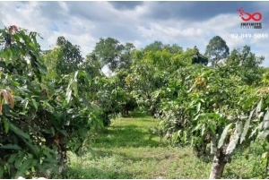 87921, ที่ดิน 10ไร่ 99ตารางวา ถนนสุวรรณศรใหม่ อำเภอเมืองปราจีนบุรี ปราจีนบุรี