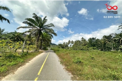 92475, ขายที่ดินเปล่า 5 ไร่ 21 ตรว.อ่าวนาง อ.เมืองกระบี่ ถนนหนองทะเล