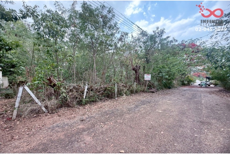 ขายที่ดิน 260 ตารางวา ปากช่อง นครราชสีมา แปลงสวย อากาศดี 