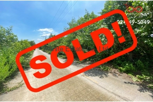 83175, ขายที่ดิน 200 ตารางวา ซอยไอยรา19 ปทุมธานี 