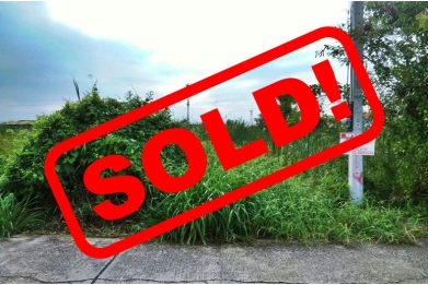 ที่ดิน89 ตารางวา ถนนลำลูกกา คลอง4 80766, ที่ดิน89 ตารางวา ถนนลำลูกกา คลอง4