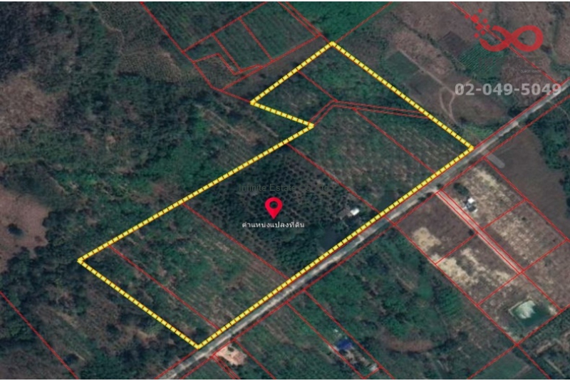 ที่ดินพร้อมผลไม้ ยางพารา เนื้อที่ 60 ไร่ 268 ตารางวา  สหกรณ์นิคม อำเภอทองผาภูมิ กาญจนบุรี