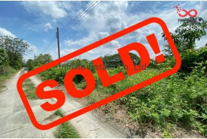 85442, ที่ดินเปล่า 1 ไร่ 200.8 ตารางวา ถนนบ้านกล้วย-ไทรน้อย ซอยบริสุทธิ์ 1