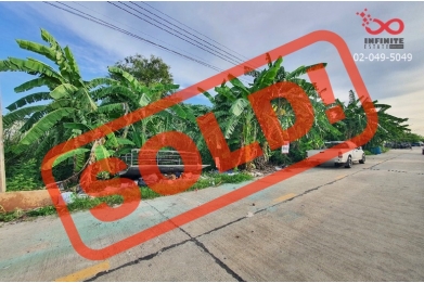 87565, ขายที่ดินเปล่า 60 ตารางวา ถนนเลียบคลองสี่ตะวันตก ซอยชมทุ่ง ปทุมธานี
