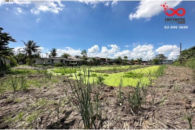 90819, ขายที่ดินเปล่า 2 ไร่ 1 งาน 18 ตารางวา สามโคก ปทุมธานี 