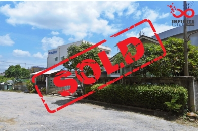 81115, ขายบ้านเดี่ยว100ตารางวา ลำลูกกาคลอง4 ถนนไสวประชาราษฎร์  