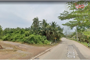 86733, ที่ดิน + สวนมะพร้าว เนื้อที่ 7 ไร่ 163 ตารางวา แพรกหนามแดง อัมพวา สมุทรสงคราม 