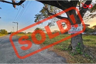 88500, ขายที่ดิน 117 ตารางวา ซอยสุวินทวงศ์ 24 ถนนสุวินทวงศ์ 