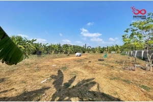 88698, ขายที่ดินเปล่าถมแล้ว 311 ตารางวา ถนนสิริโสธร ซอยฉะเชิงเทรา-บางปะกง5 ฉะเชิงเทรา