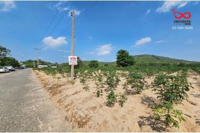 91151, ขายที่ดิน 1 ไร่ 3 งาน 94 ตารางวา ถนนดอนนุ่น เขตศรีราชา ชลบุรี