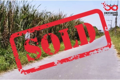 81526, ที่ดิน 75 ตารางวา ซอยบงกช41 ใกล้ถนนเลียบคลองสอง