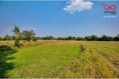 91039, ขายที่ดิน 76 ไร่ 50 ตารางวา เนินมะกอก พยุหะคีรี นครสวรรค์ 