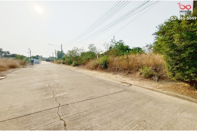 91143, ขายที่ดิน 175 ตารางวา  หมู่บ้านพุทธธานี สามพราน นครปฐมขายที่ดิน 175 ตารางวา  หมู่บ้านพุทธธานี สามพราน นครปฐม