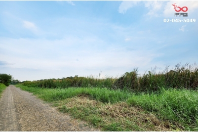 91171, ขายที่ดินเปล่า 2 ไร่ 2 งาน 76 ตารางวา ซอยคลองสี่ตะวันตก คลองหลวง ถนนรังสิต-นครนายก