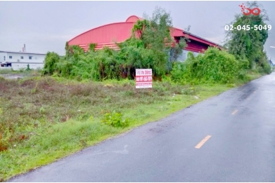 91226, ขายที่ดินถมแล้ว 200 ตารางวา คลองหลวง ปทุมธานี