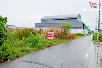 91351, ขายที่ดินเปล่า เนื้อที่ 200 ตารางวา คลองหลวง ปทุมธานี