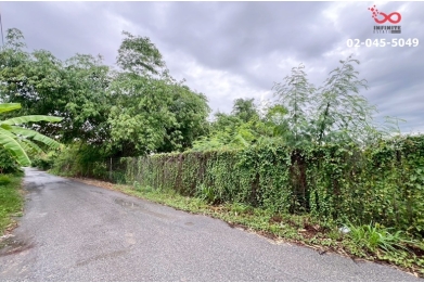 91365, ขายที่ดิน 16 ไร่ 153 ตารางวา ซอยนาทอง ถนนบางกรวย-ไทรน้อย นนทบุรี 