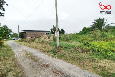 91402, ขายที่ดินเปล่า 200 ตารางวา ถนนหลวงแพ่ง - ถนนขุมทอง-ลำต้อยติ่ง ลาดกระบัง