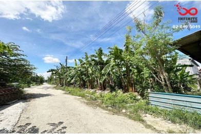 91614, ขายที่ดิน 90 ตร.ว. สุขุมวิท-ศรีนครินทร์ ซอยลาซาล 52/2 ถมแล้ว เหมาะทำโกดัง-โรงงาน  ใกล้ BTS-ศรีลาซาล