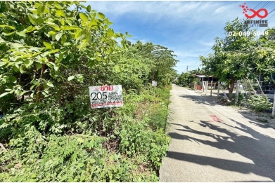91707, ขายที่ดินเปล่า 205ตารางวา ใกล้นิคมอุตสาหกรรมบางปะอิน พระนครศรีอยุธยา 