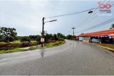 91697, ขายที่ดิน 99ไร่ นครชัยศรี นครปฐม ถนนลาดยางหน้าที่ดิน ใกล้แหล่งชุมชน เหมาะทำฟาร์มและรีสอร์ท 