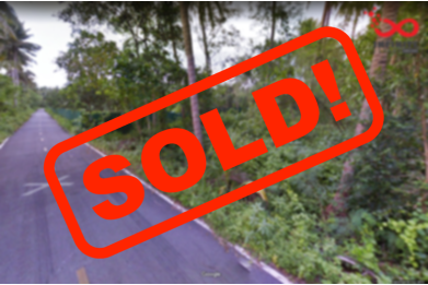 81698, ที่ดินเปล่า 2 ไร่ 2 งาน 28 ตรว อัมพวา