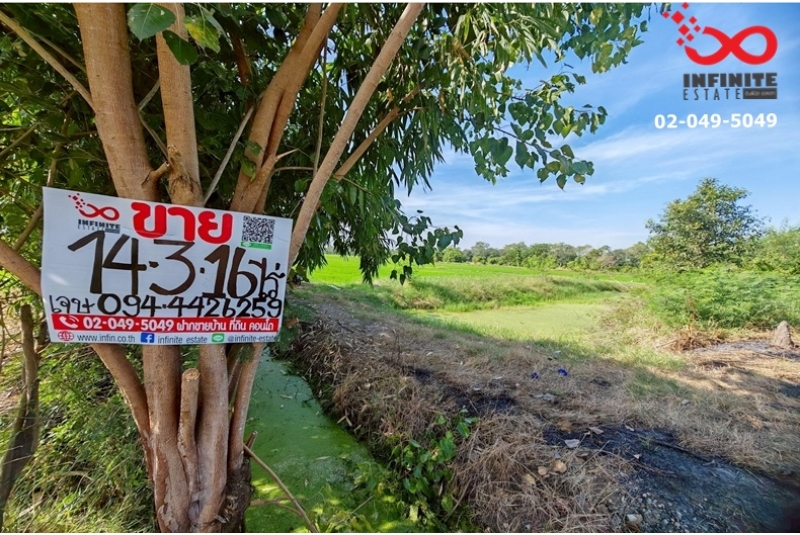 ขายที่ดิน 14ไร่ 316ตรว.ลำลูกกาคลอง 12 ลำลูกกา ปทุมธานี 