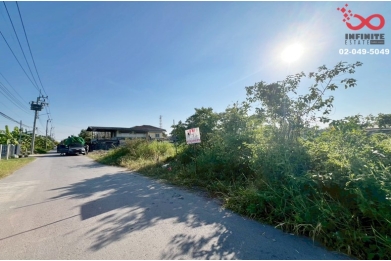 92385, ขายที่ดิน 50ตร.วา ซอยมิตรไมตรี 24 หนองจอก ขายถูก