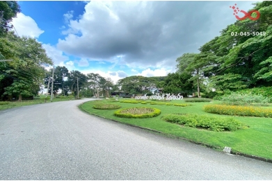 92854, ขายที่ดิน มวกเหล็กพาราไดส์ รีสอร์ท ปากช่อง 319 ตรว.แปลงสวย 